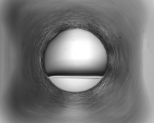 X0000093761489200710160825