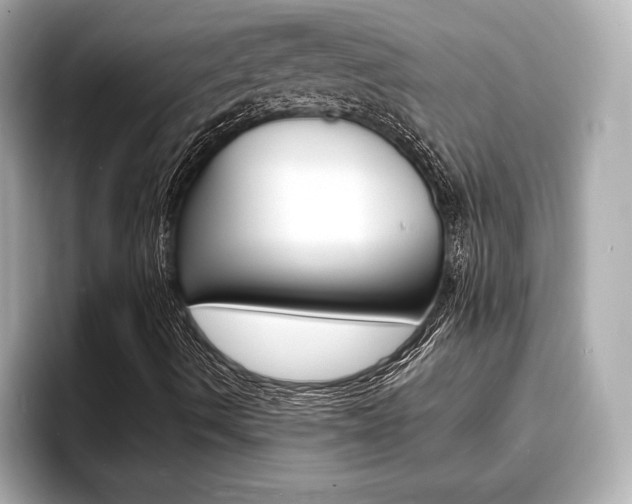 X0000093761490200710160825