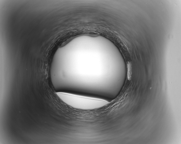 X0000093761491200710160825