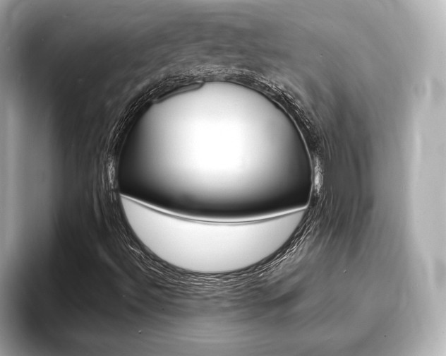X0000093761492200710160825