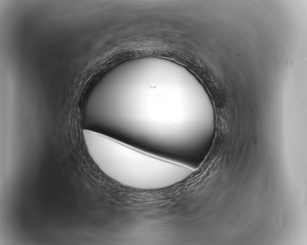 X0000093761493200710160825