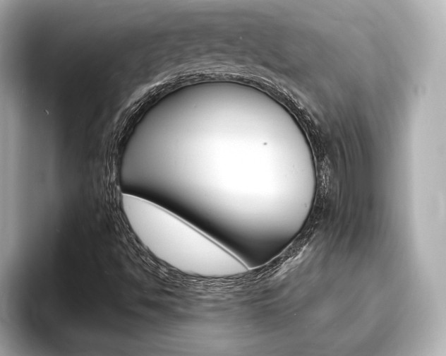 X0000093761494200710160825