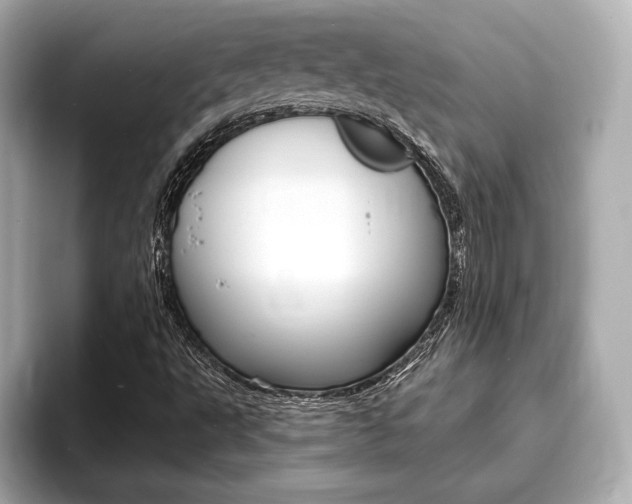 X0000093761495200710160825