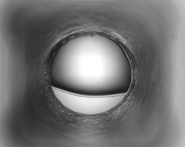 X0000093761496200710160825