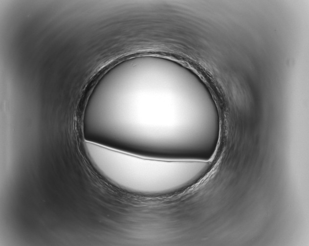 X0000093761497200710160825