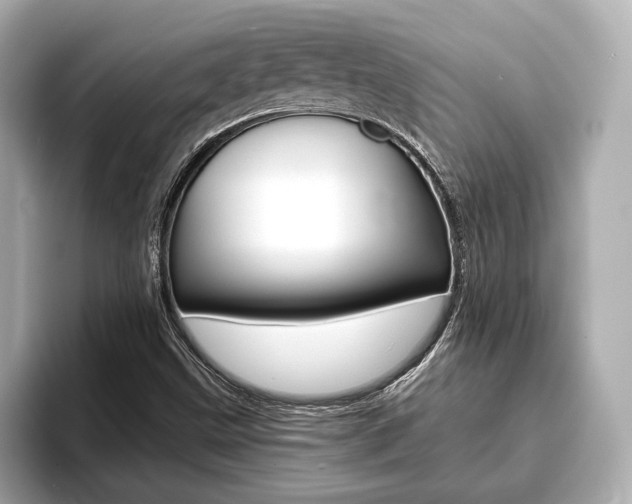 X0000093761499200710160825