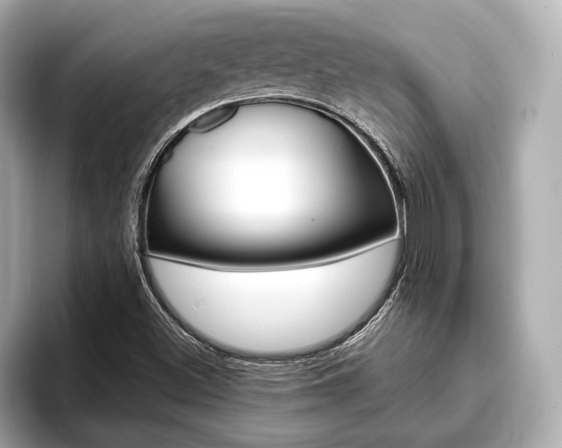 X0000093761500200710160825