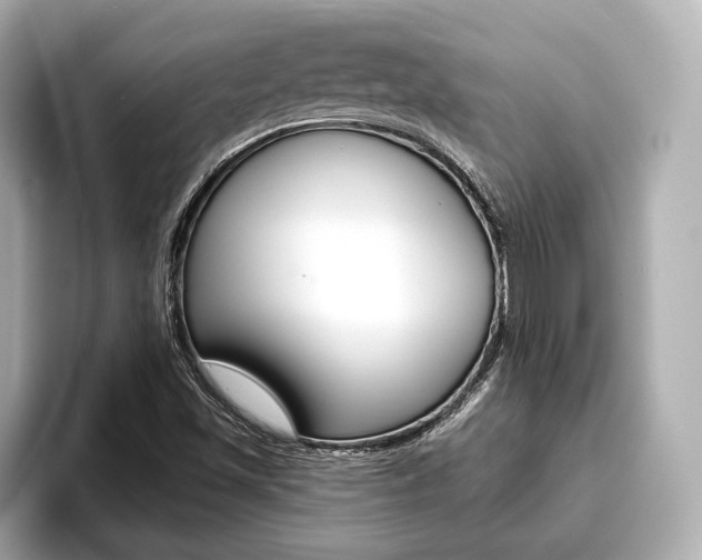 X0000093761501200710160825
