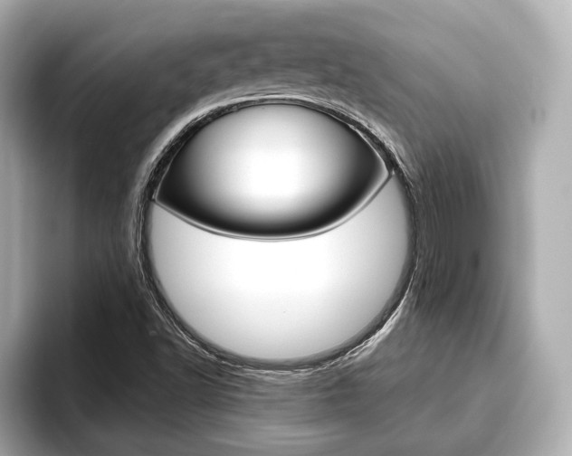 X0000093761502200710160825