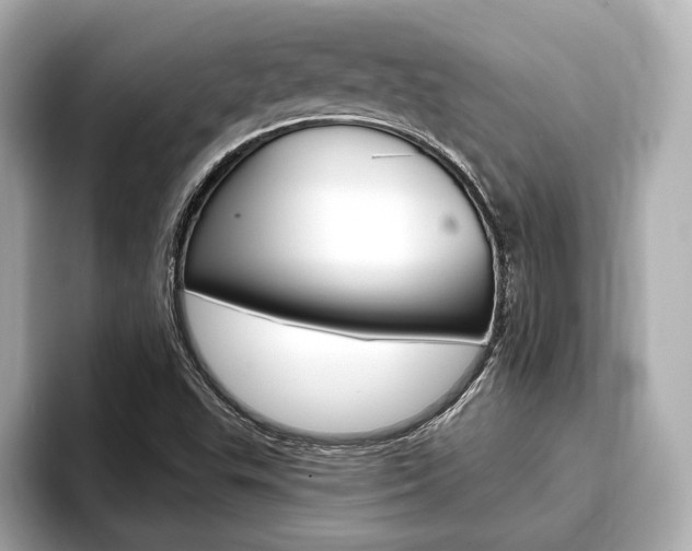 X0000093761503200710160825