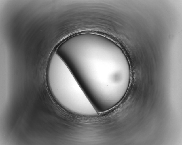 X0000093761505200710160825