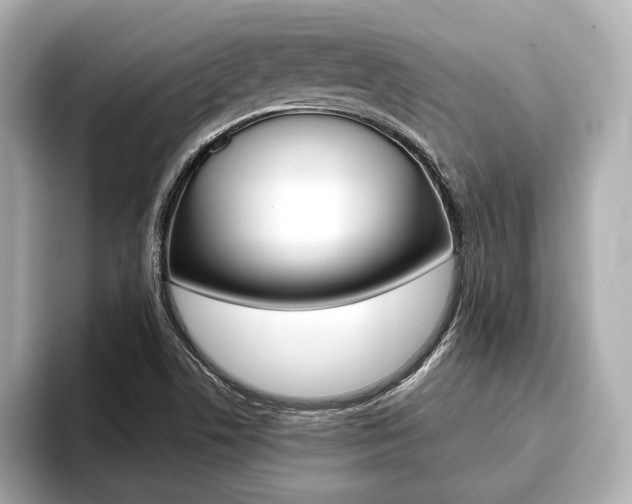X0000093761506200710160825