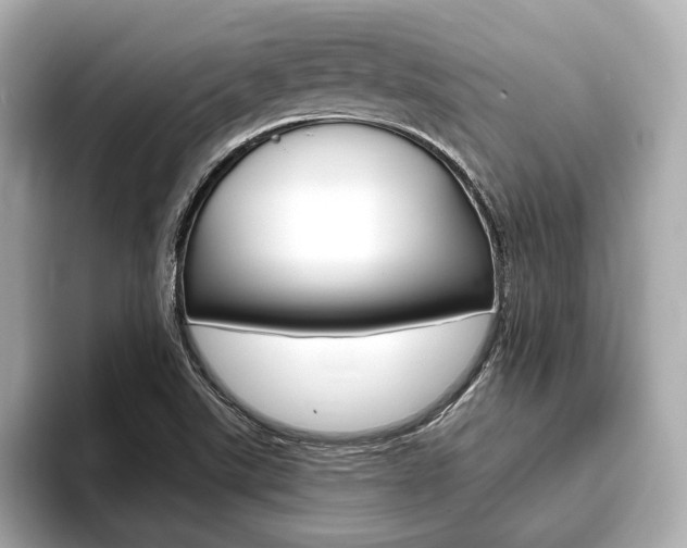 X0000093761507200710160825