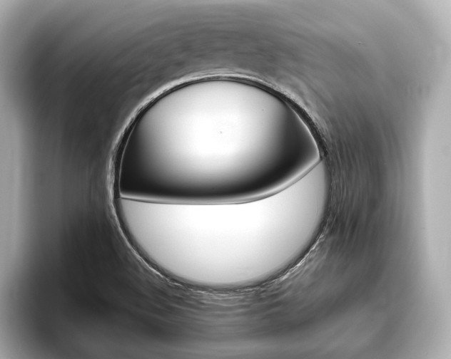 X0000093761508200710160825