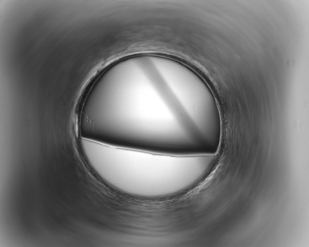 X0000093761509200710160825