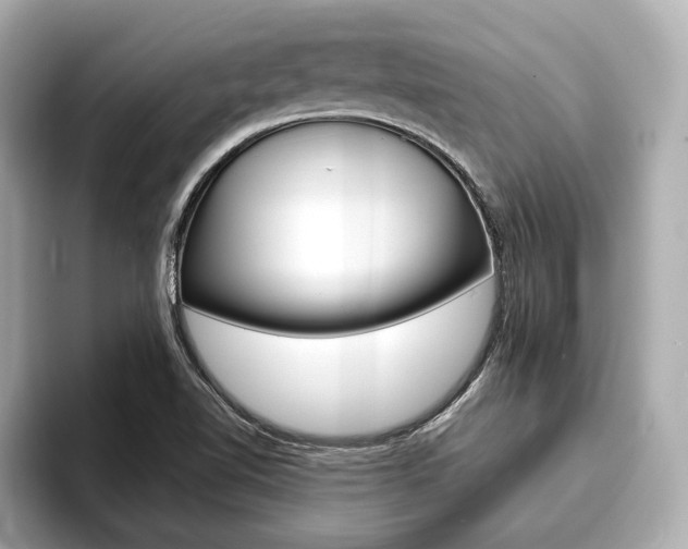 X0000093761510200710160825