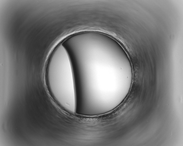 X0000093761511200710160825