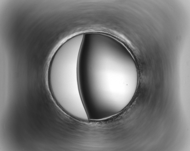 X0000093761512200710160825