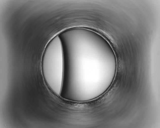 X0000093761513200710160825