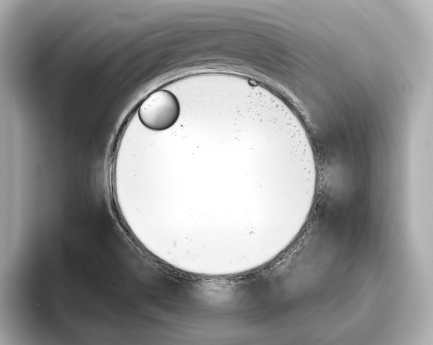 X0000093761514200710160825