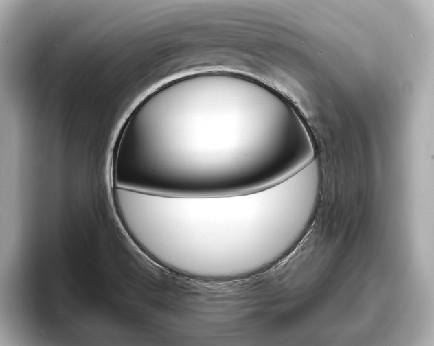 X0000093761516200710160825