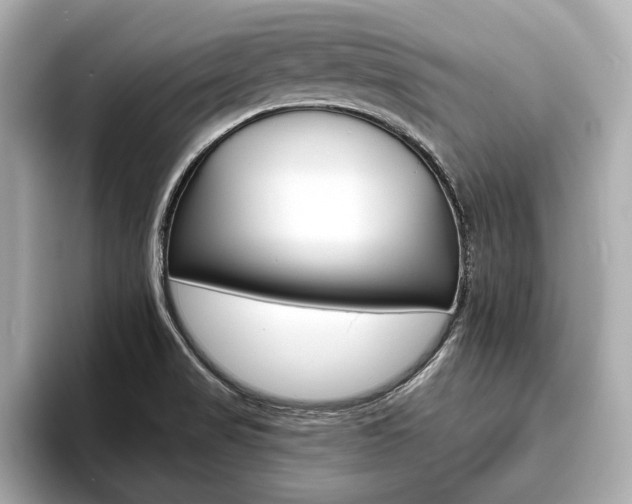 X0000093761517200710160825