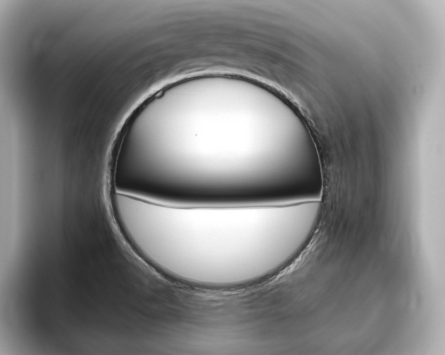X0000093761518200710160825