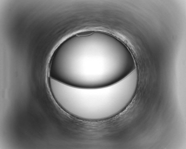 X0000093761520200710160825