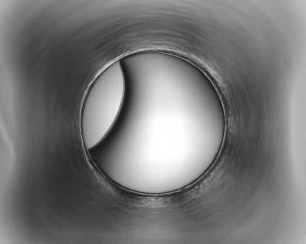 X0000093761521200710160825