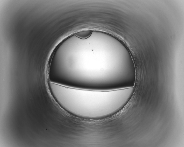 X0000093761522200710160825