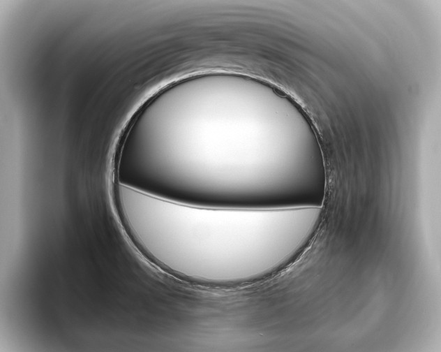 X0000093761523200710160825