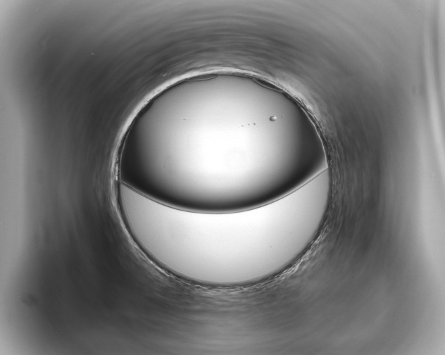 X0000093761524200710160825