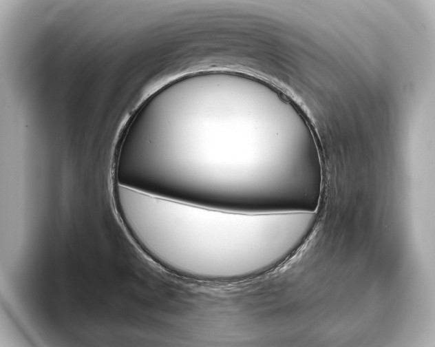 X0000093761525200710160825