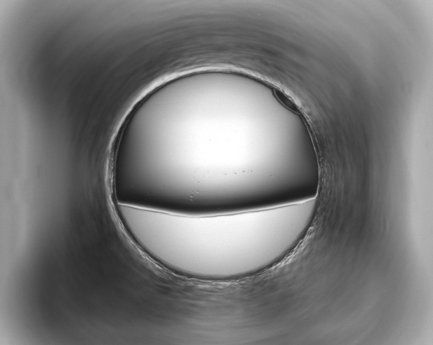 X0000093761526200710160825