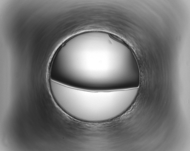 X0000093761527200710160825