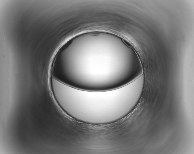 X0000093761528200710160825