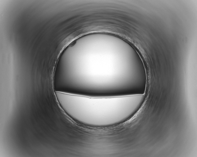 X0000093761529200710160825