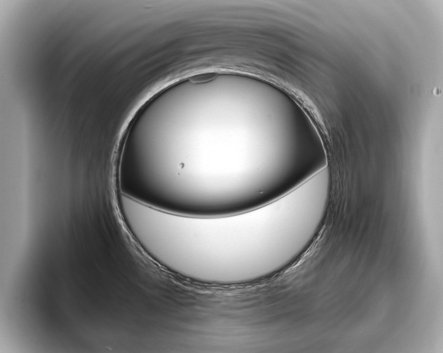 X0000093761530200710160825