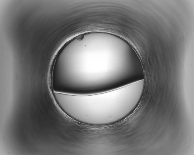 X0000093761531200710160825