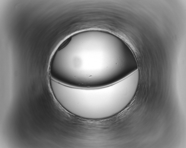 X0000093761532200710160825