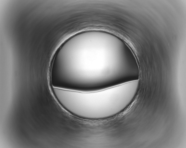 X0000093761533200710160825
