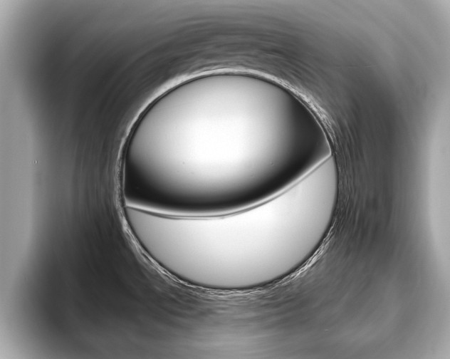 X0000093761534200710160825