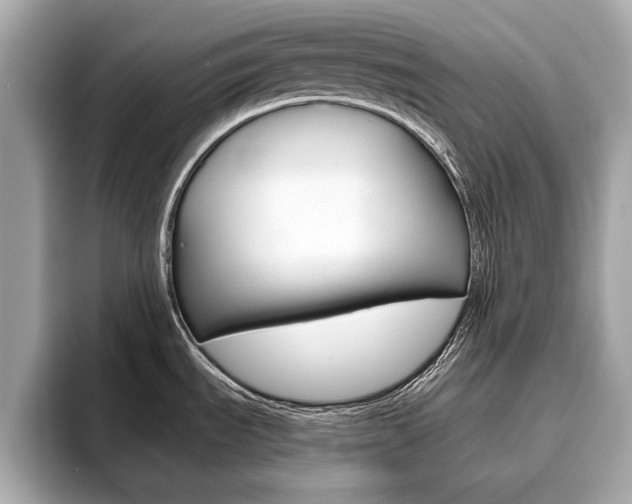 X0000093761535200710160825
