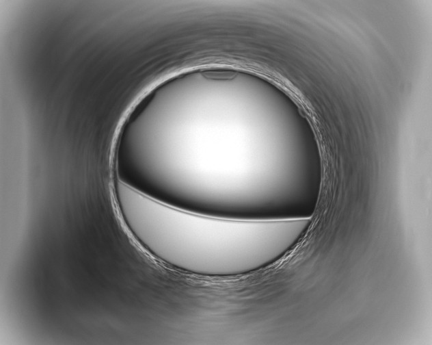 X0000093761536200710160825