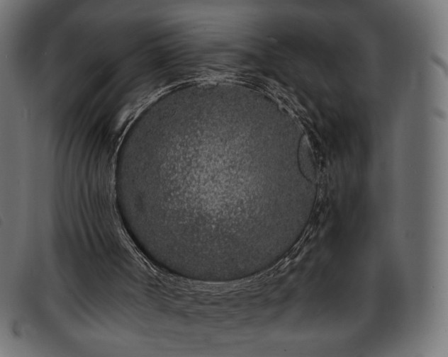 X0000093760002200710161232