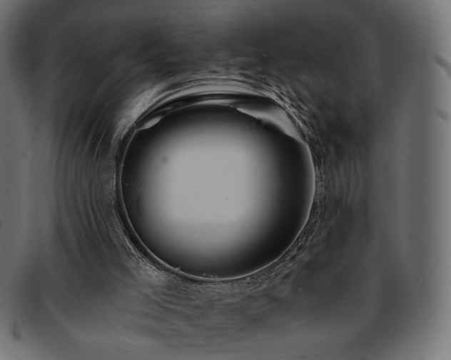 X0000093760005200710161232
