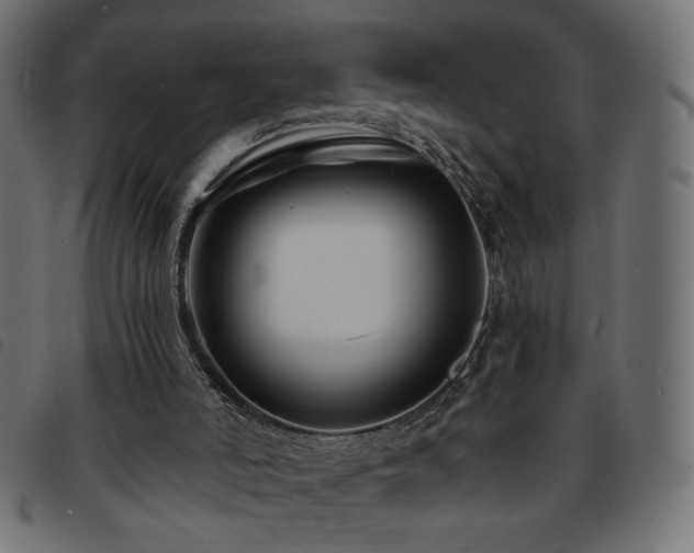 X0000093760006200710161232