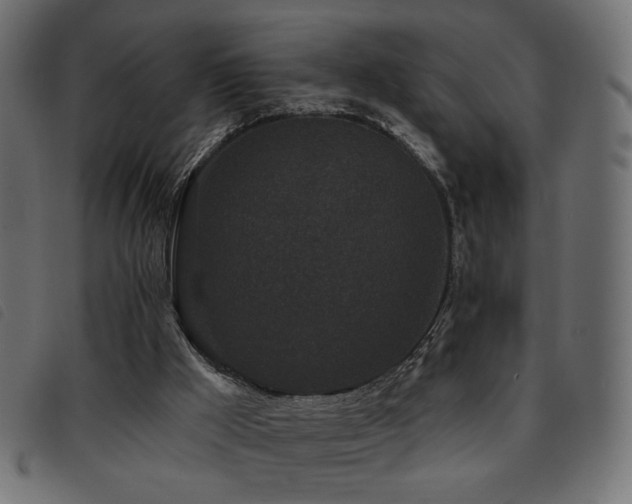 X0000093760009200710161232