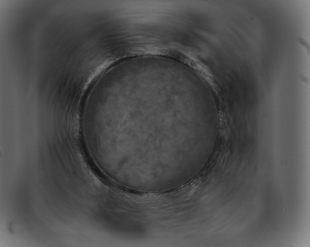 X0000093760012200710161232