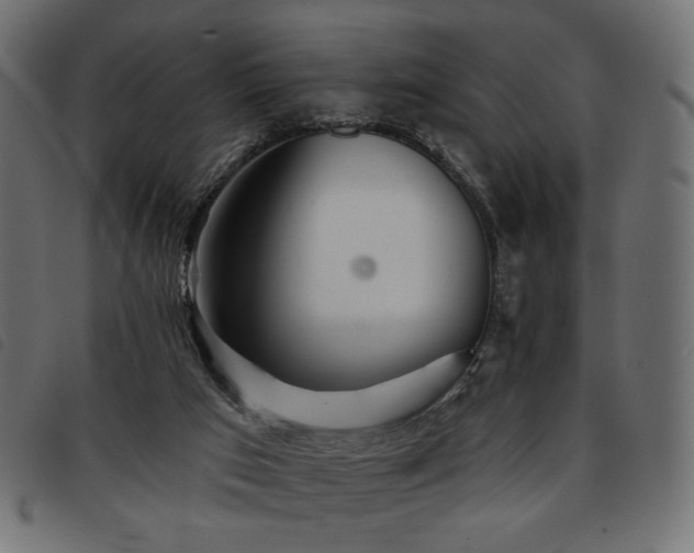 X0000093760017200710161231